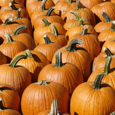 Clever No-Carve Ways to Decorate a Pumpkin