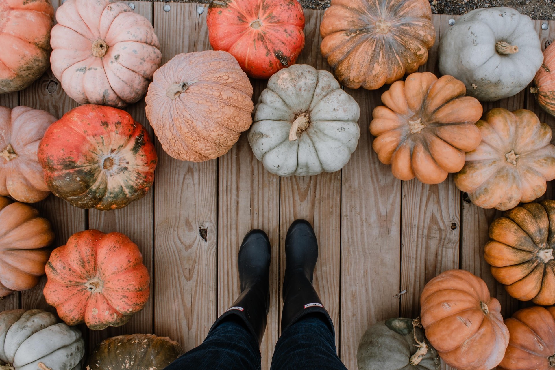 The Best Ways to Decorate a Pumpkin, No Carving Knife Necessary