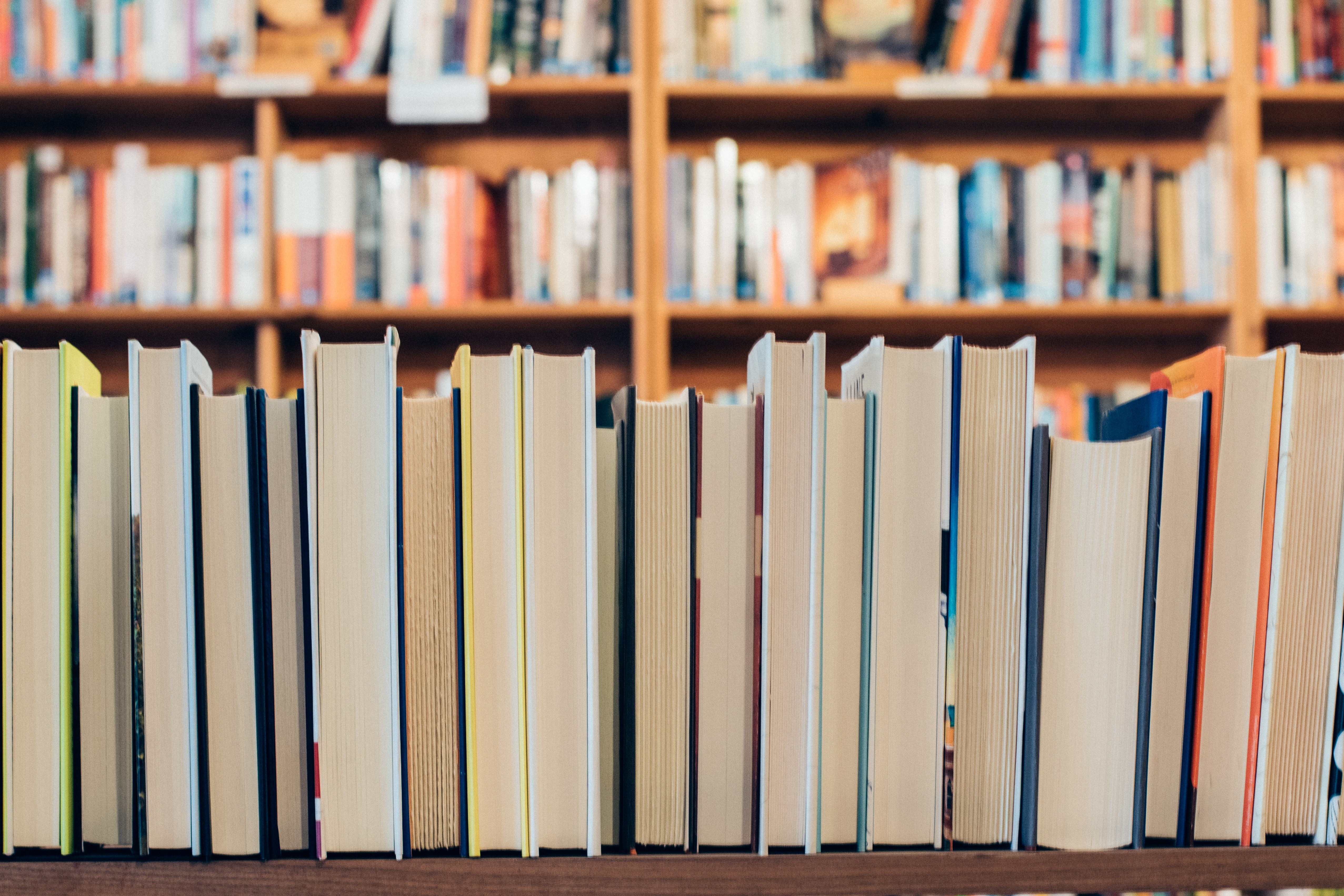 Browse the Stacks at After-Words, an Indie Bookstore Near The Wellington