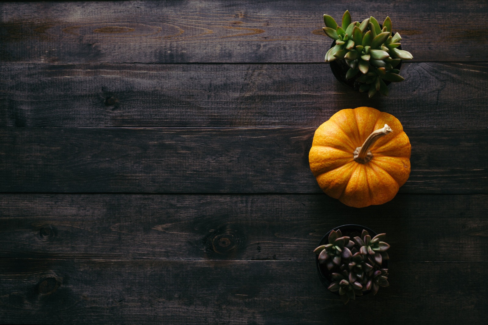 Fall Decorating Tips for Renters