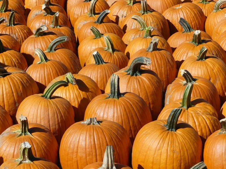 Clever No-Carve Ways to Decorate a Pumpkin